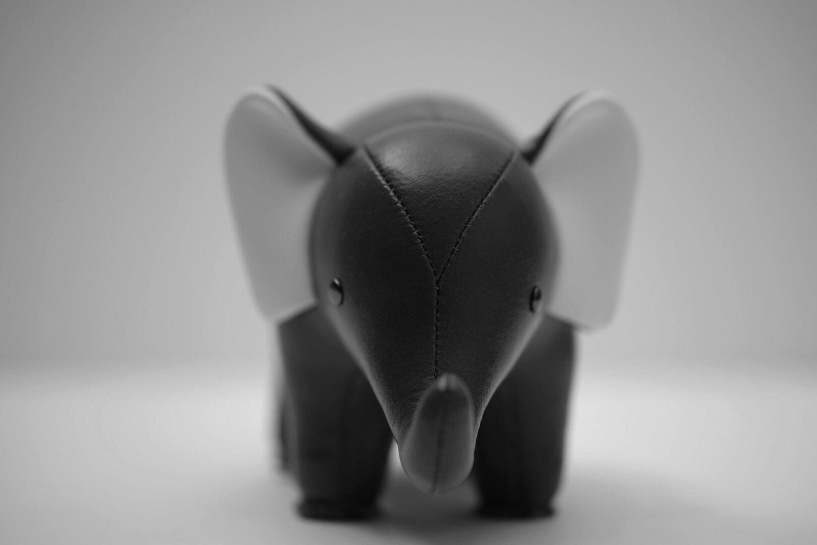 A black and white photo of an elephant